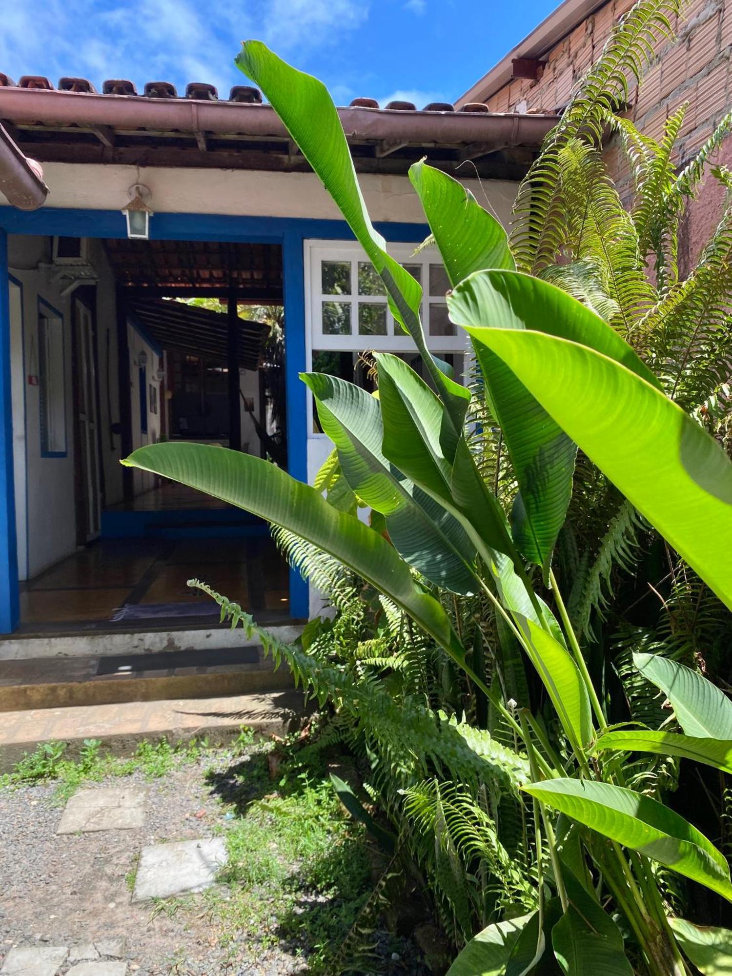 Tropicalia Hostel E Pousada Itacaré Exterior foto